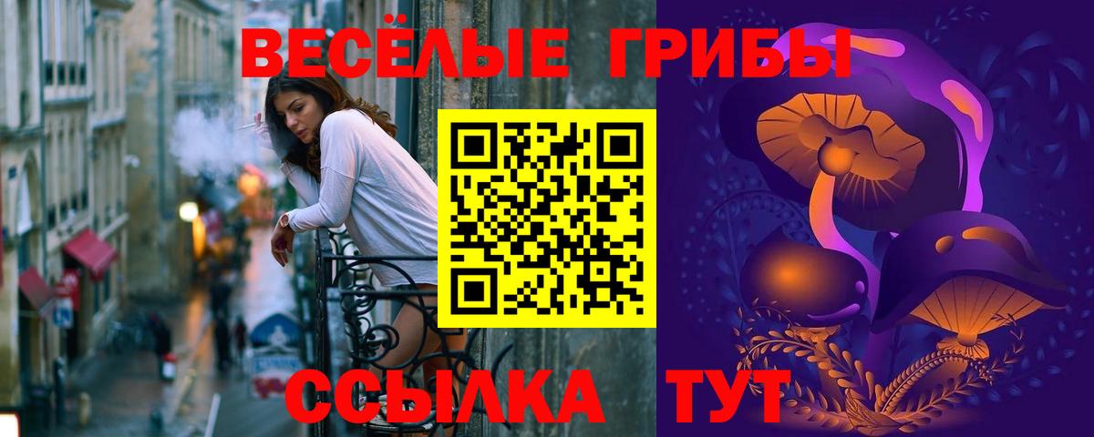 Череповец  Галлюциногенные грибы мицелий  купить наркотик  Псилоцибиновые грибы ЛСД  Вход с VPN 